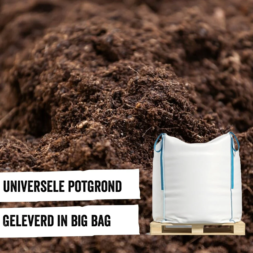 Productafbeelding 1